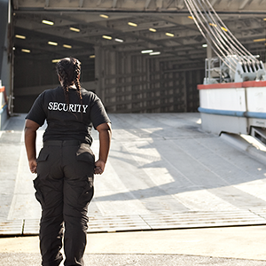 msc cruise security photo